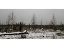 IMG 20201129 095945.jpg