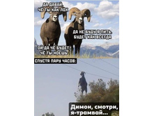 FB IMG 1604650653580.jpg