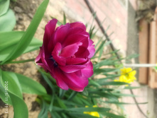 IMG 20200511 111349.jpg