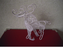 DSCN5743.JPG