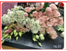 ������ ������� � ���������..PNG