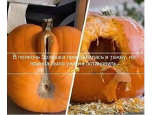 FB IMG 1606299623283.jpg