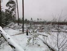 IMG 20201129 103652.jpg