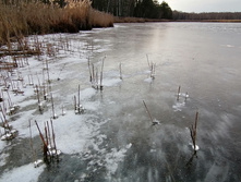 IMG 20201121 132938.jpg