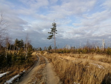 IMG 20201121 124000.jpg