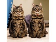 ����� �� ������� - ������� ���� ���������� �����, ������� ������ ����, � ������� - ����. ��������� ������, ������� �� �� ��������� ...