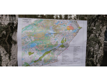 IMG 20201115 111123.jpg