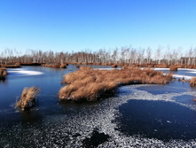 IMG 20201118 121115.jpg