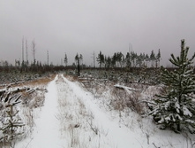 IMG 20201129 102255.jpg