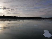 IMG 20201121 131513.jpg