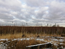 IMG 20201115 124657.jpg