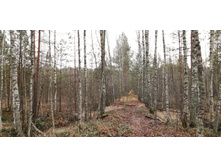 IMG 20201108 131111.jpg