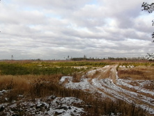 IMG 20201115 131742.jpg