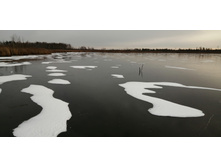 IMG 20201122 113935.jpg