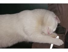 IMG 20201113 124226.jpg