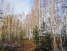 IMG 20201121 121555.jpg