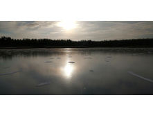 IMG 20201121 133452.jpg