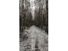 IMG-c89ab7ade1c8f954cc8f186e287cc9d1-V.jpg