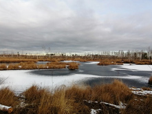 IMG 20201115 114917.jpg