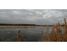 IMG 20201121 125215.jpg