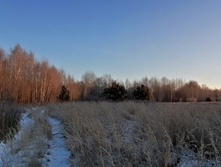 IMG 20201208 091838.jpg