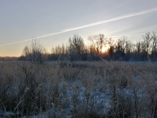 IMG 20201208 091815.jpg