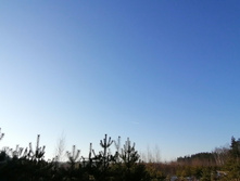 IMG 20201205 105636.jpg