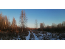 IMG 20201208 093710.jpg