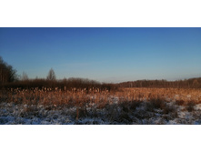 IMG 20201213 110902.jpg