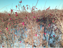 20201205 ������� ���� 1357.jpg