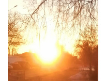 IMG 20201205 084517.jpg