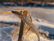 IMG 20201205 100053.jpg