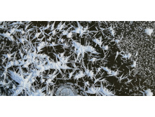 IMG 20201213 095807.jpg