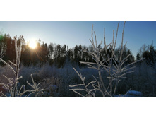 IMG 20201206 112027.jpg