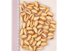 �������� ���� ������� ������ (����� �������)