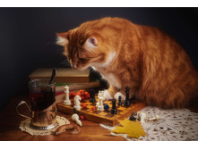 .. � ��� ��� ���!