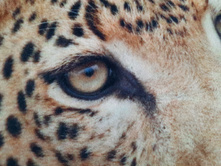 ������������ ��������� �� �������� �������