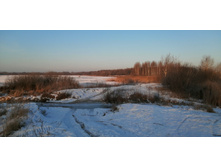 IMG 20201213 094659.jpg