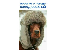 IMG 20201220 100602.jpg