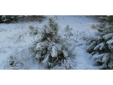 IMG 20201213 132812.jpg