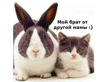 IMG 20201203 151215.jpg