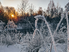 IMG 20201205 093821.jpg