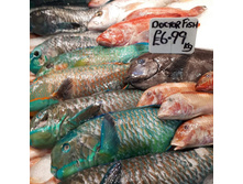 ������ ����