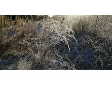 IMG 20201206 103108.jpg