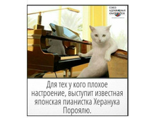 Screenshot 20201220 200041.jpg