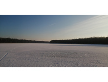 IMG 20201212 103924.jpg