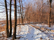 IMG 20201213 103926.jpg