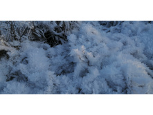 IMG 20201213 110146.jpg