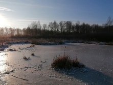 IMG 20201213 111256.jpg