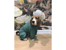 ����������� viber 2020-12-09 19-27-33.jpg